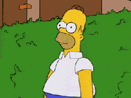 Homer