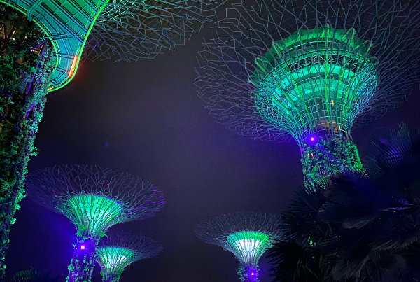 Consumer Journey (CRO): Ultimate Guide